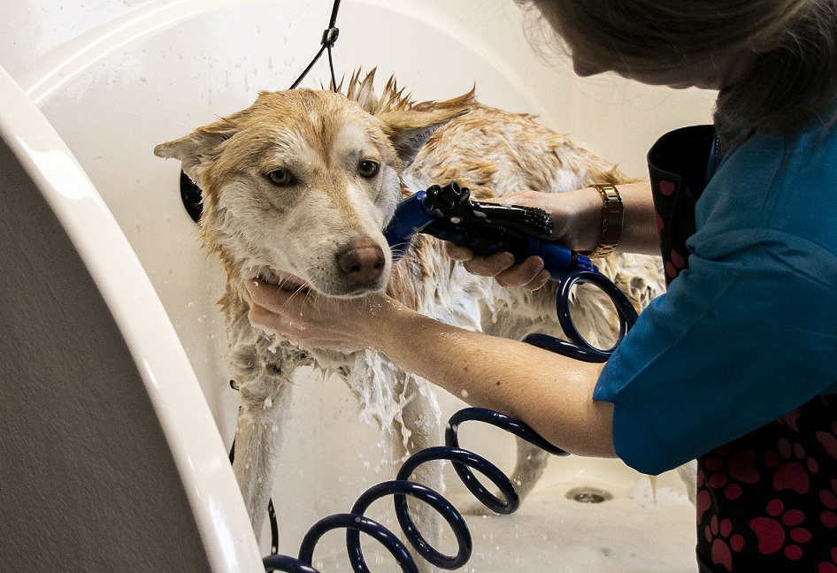 foto-gallerij wassen